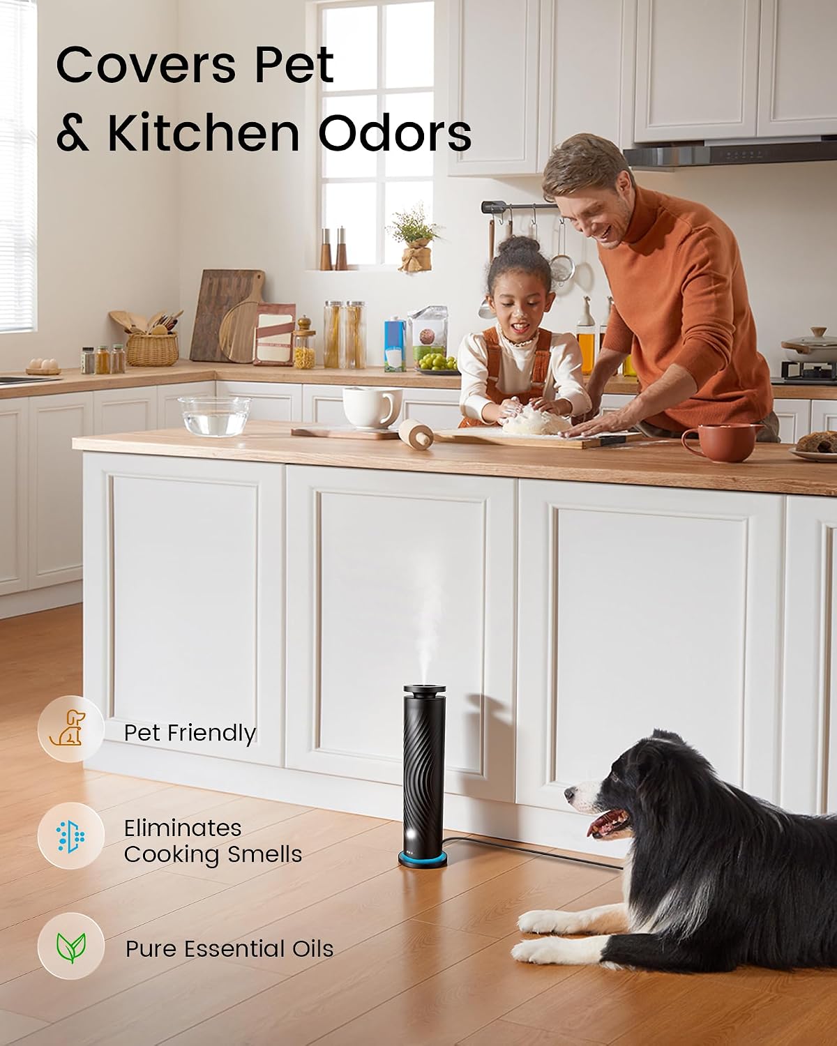 Waterless Essential Oil Diffuser for Home, Starter Kit with 5 Oils