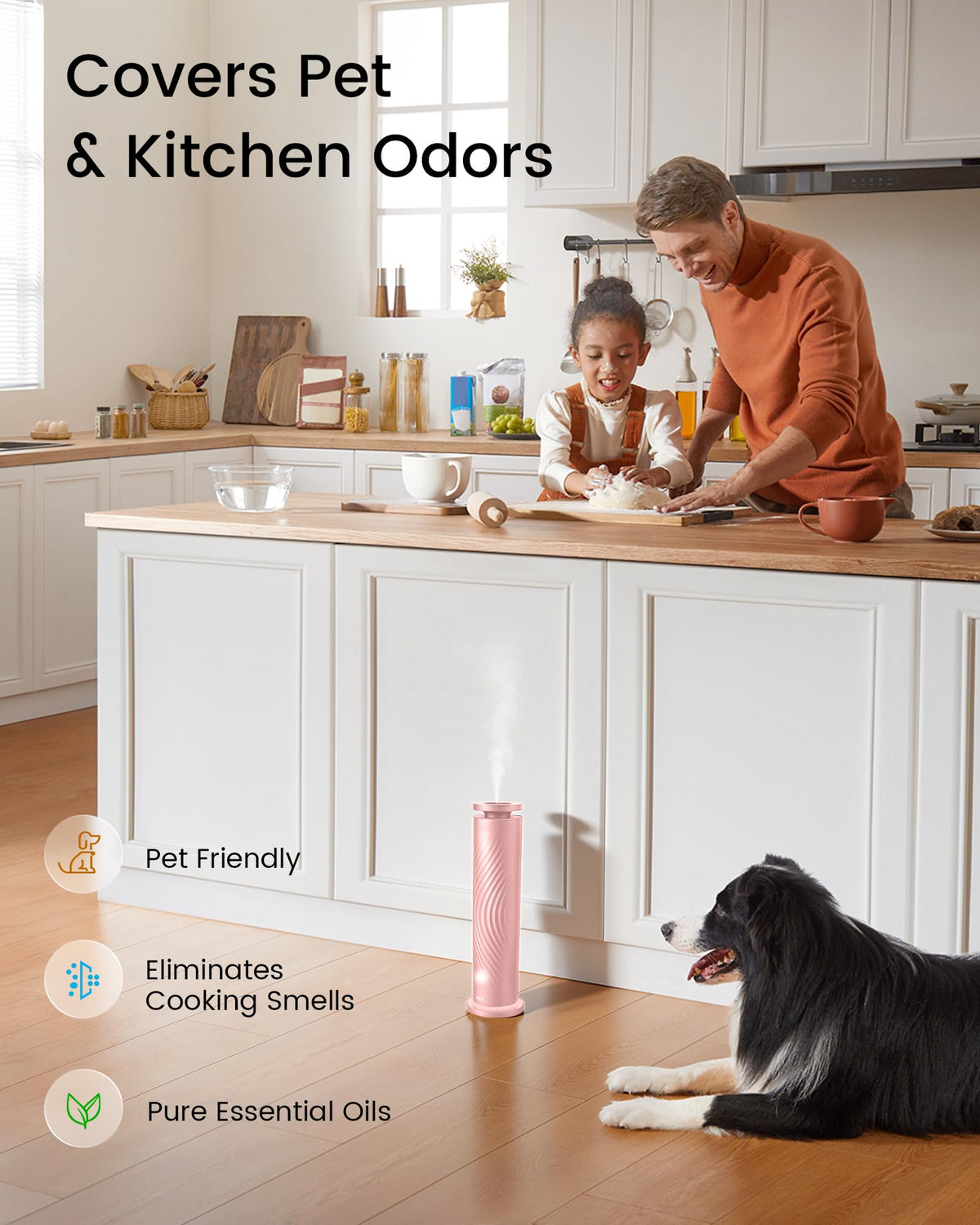 Waterless Essential Oil Diffuser for Home, Starter Kit with 5 Oils
