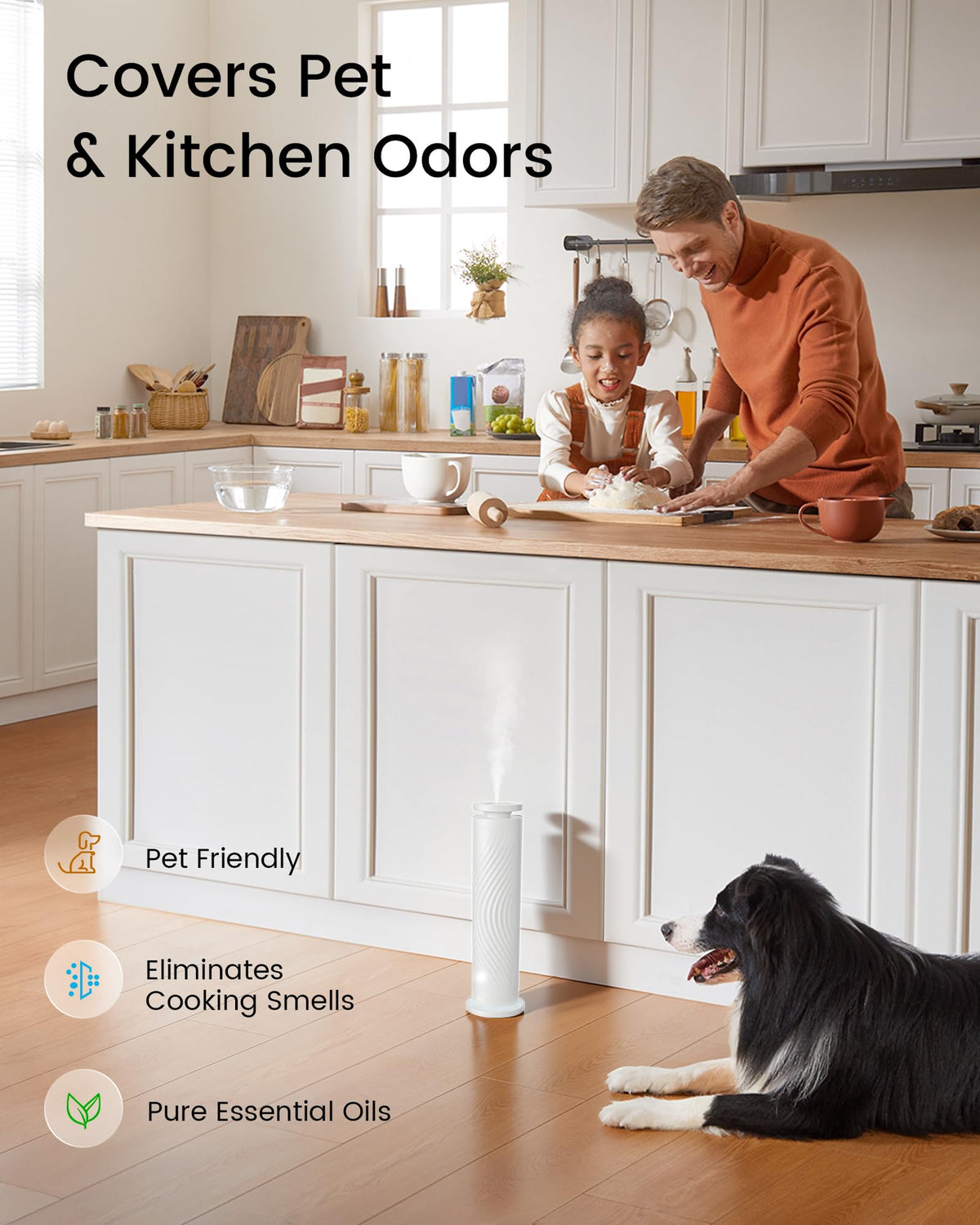 Waterless Essential Oil Diffuser for Home, Starter Kit with 5 Oils