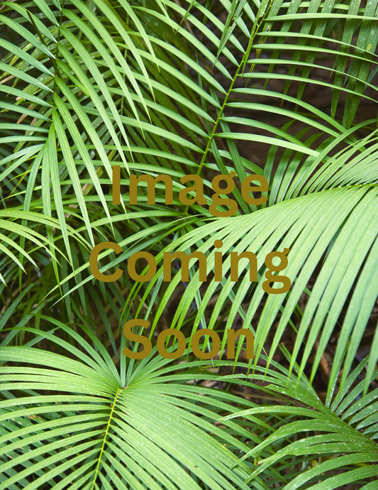 Sweet Citrus Spray